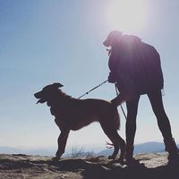 Фотографии пользователя Haley Todd