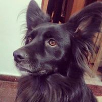 Photos de Pablo Mensegue