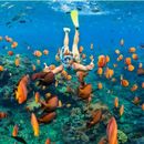 Dive&chill In Aqaba 's picture