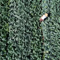 Isabel Echenique Manriquez's Photo