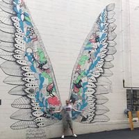 Nathan de Vreeze的照片