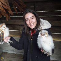 Raquel Videira的照片