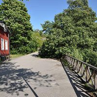 Simon Tullstedt's Photo