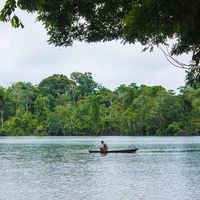 Fernando Vida的照片