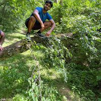 Fotos von Rishi Kesav