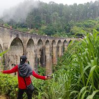 Anuj  Yadav的照片