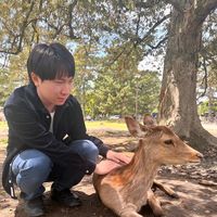 Chisato  Tokuta的照片