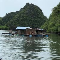 asmaa omer  omermohamed's Photo