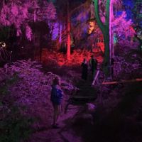 Agnė Šimkūnaitė的照片