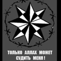 Али Муслим的照片