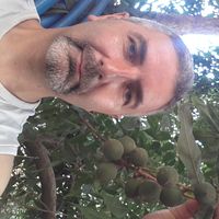 Tropik Meyveci's Photo