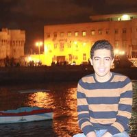 Mohamed Allam's Photo