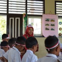 iin tomaito的照片