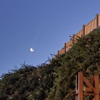 Hasti Mehrpour's Photo