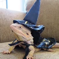 Rachel Bunyan's Photo