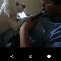 Carlos A Chicuazuque  G的照片