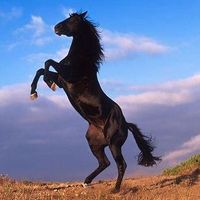 Fotos de Phương Nam