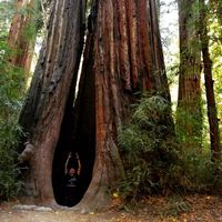 Yuki Tsutsumi's Photo