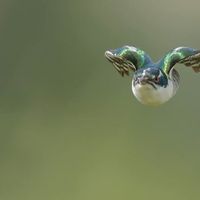 Fabian Carvajal's Photo