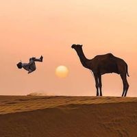 Mr  Rocky ✌️ Jaisalmer's Photo