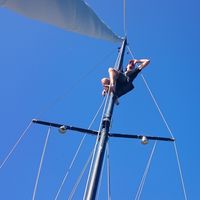 Nino Novacescu's Photo