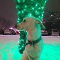 Полина Веремеева's Photo