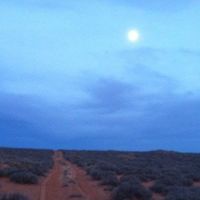 Amber Van Strien的照片