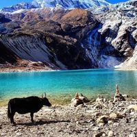 mount fishtail's Photo