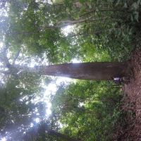 Mauricio Rodríguez Hernández's Photo