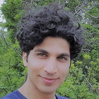 Mehrdad Afzali's Photo