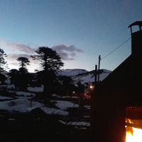 cristian bogliacino的照片