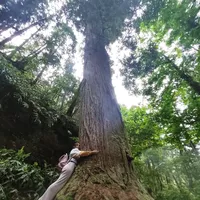 Mafalda Costa的照片