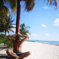 André Sarabando的照片