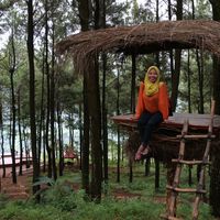 Rucitra Deasy Fadila的照片