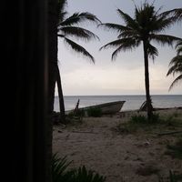 julie lobbestael的照片