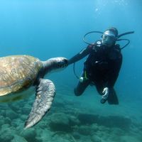 Fotos von Claudia Pich