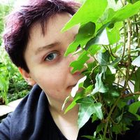 Fotos de Mikołaj Śledziński