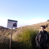 Fotos de Bernardo Freita