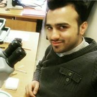 Mostafa Ghafouri的照片