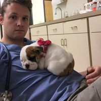 Luke Baldwin的照片