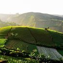 Magical Majalengka's picture