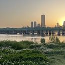 Picnic in Nodeul Island's picture