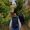 Fadi Magdi's Photo