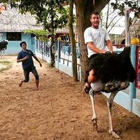 Le foto di Gabriel Coutinho