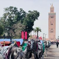 Abdelghani  Hachouat的照片