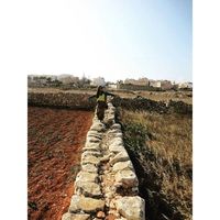 Fernanda Koba的照片