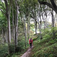 Le foto di Carolin du Bouleau