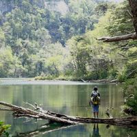 Pablo Rotter Letelier的照片