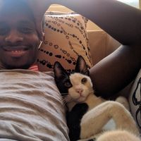 Almigdad Aldoma的照片