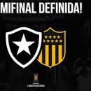 BOTAFOGO vs PEÑAROL's picture